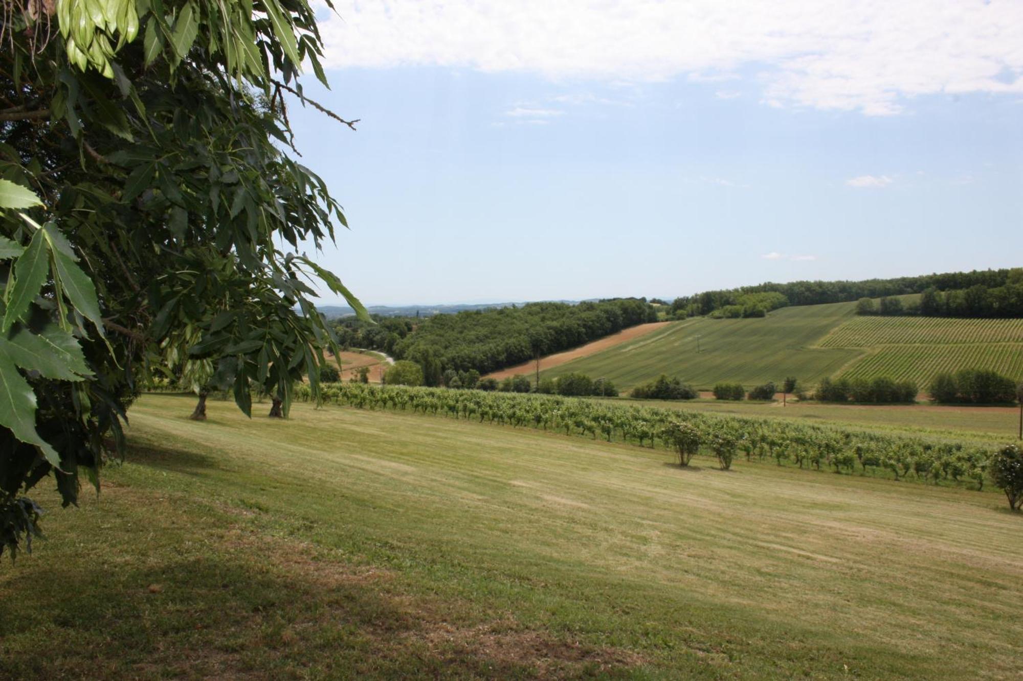 Domaine De Perches Bed and Breakfast Gaillac Buitenkant foto