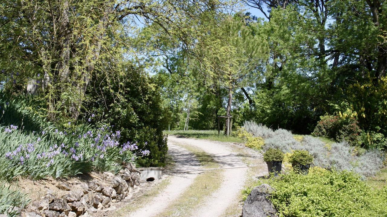 Domaine De Perches Bed and Breakfast Gaillac Buitenkant foto